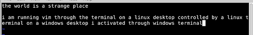 Terminal text reading "the world is a strange place. i am running vim through the terminal on a linux desktop controlled by a linux terminal on a windows desktop i activated through windows terminal."